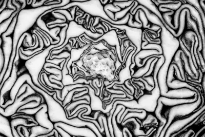 Legge sulla Tutela Agroalimentare: quali sono le principali implicazioni per le  imprese