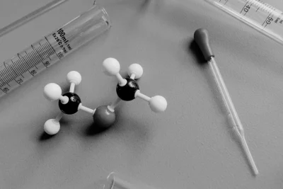 Bisphenol A in Food-Contact Materials: EU Obligations for Businesses in 2026